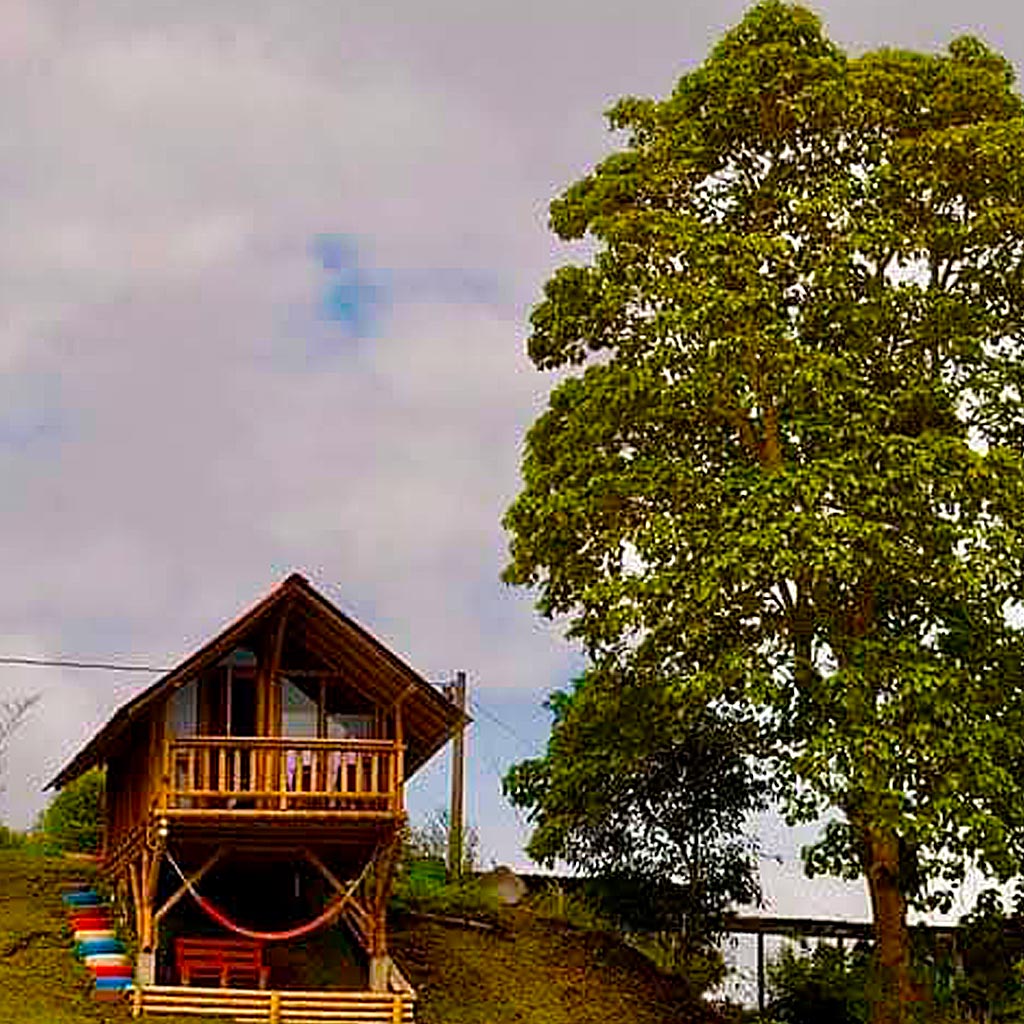 detur, alojamiento en cabañas, filandia, quindío, cabañas en guadua, turismo, descanzo, vacaciones