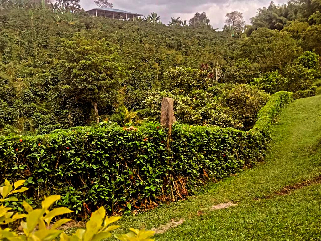 detur, alojamiento rural, entre guaduas, filandia, quindío, fincas, turismo, descanzo, vacaciones