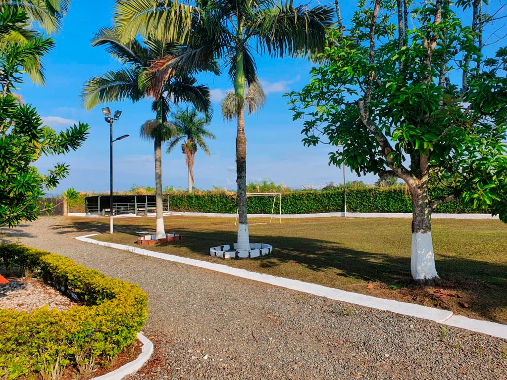 detur, de tur, detur fincas fincas en La Tebaida, fincas en alquiler La Tebaida, alquiler de fincas en La Tebaida, fincas turísticas en La Tebaida, finca vacacional La Tebaida, finca campestre La Tebaida, fincas en el eje cafetero