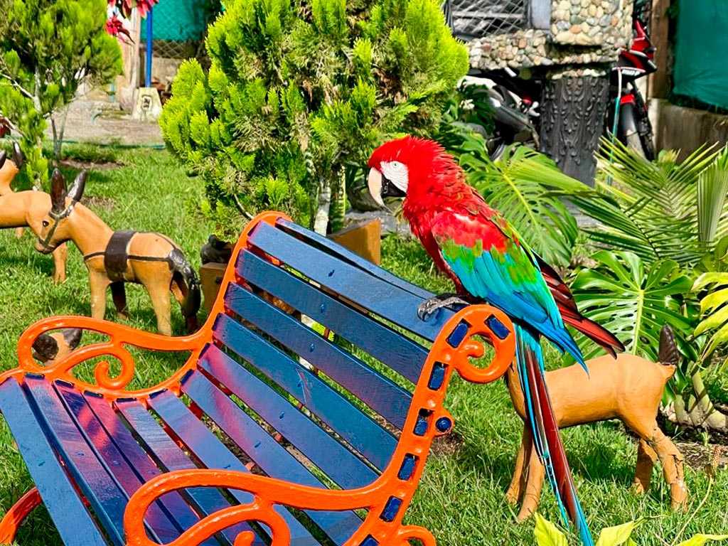 detur, de tur, detur fincas, fincas en Circasia, fincas en alquiler Circasia, alquiler de fincas en Circasia, fincas turísticas en Circasia, finca vacacional Circasia, casa campestre Circasia, fincas en el eje cafetero