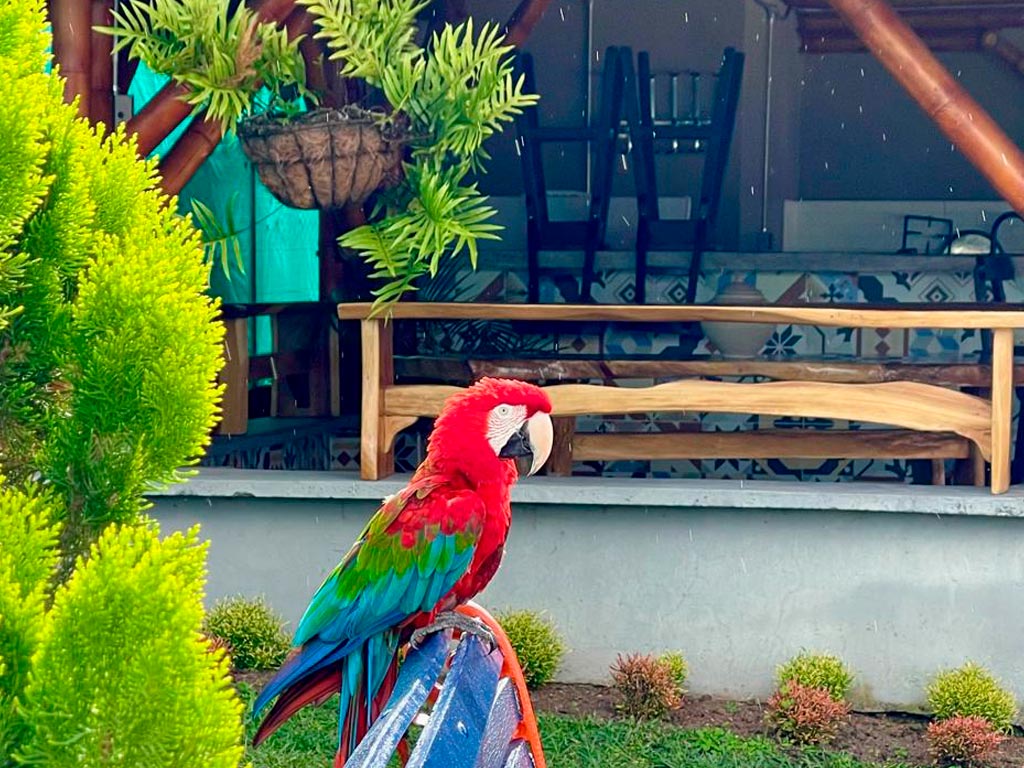 detur, de tur, detur fincas, fincas en Circasia, fincas en alquiler Circasia, alquiler de fincas en Circasia, fincas turísticas en Circasia, finca vacacional Circasia, casa campestre Circasia, fincas en el eje cafetero